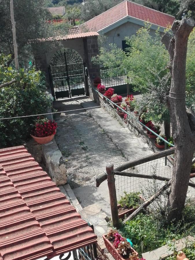 Casa Lorella Bed & Breakfast Маса Лубрензе Екстериор снимка